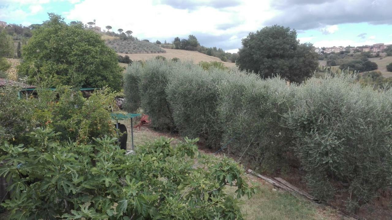 Agriturismo Cerquaglia Villa Тоди Екстериор снимка