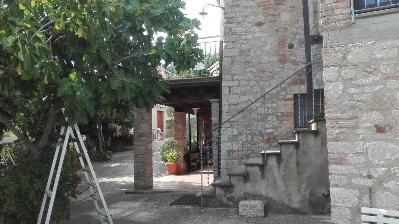 Agriturismo Cerquaglia Villa Тоди Екстериор снимка